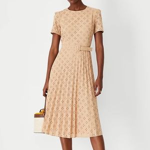Ann Taylor Eyelet Pleated Midi Dress 2